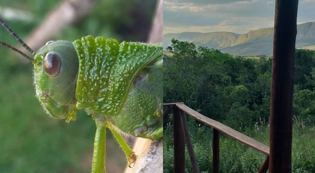 Na área externa do Chalé do Paraíso Canastr